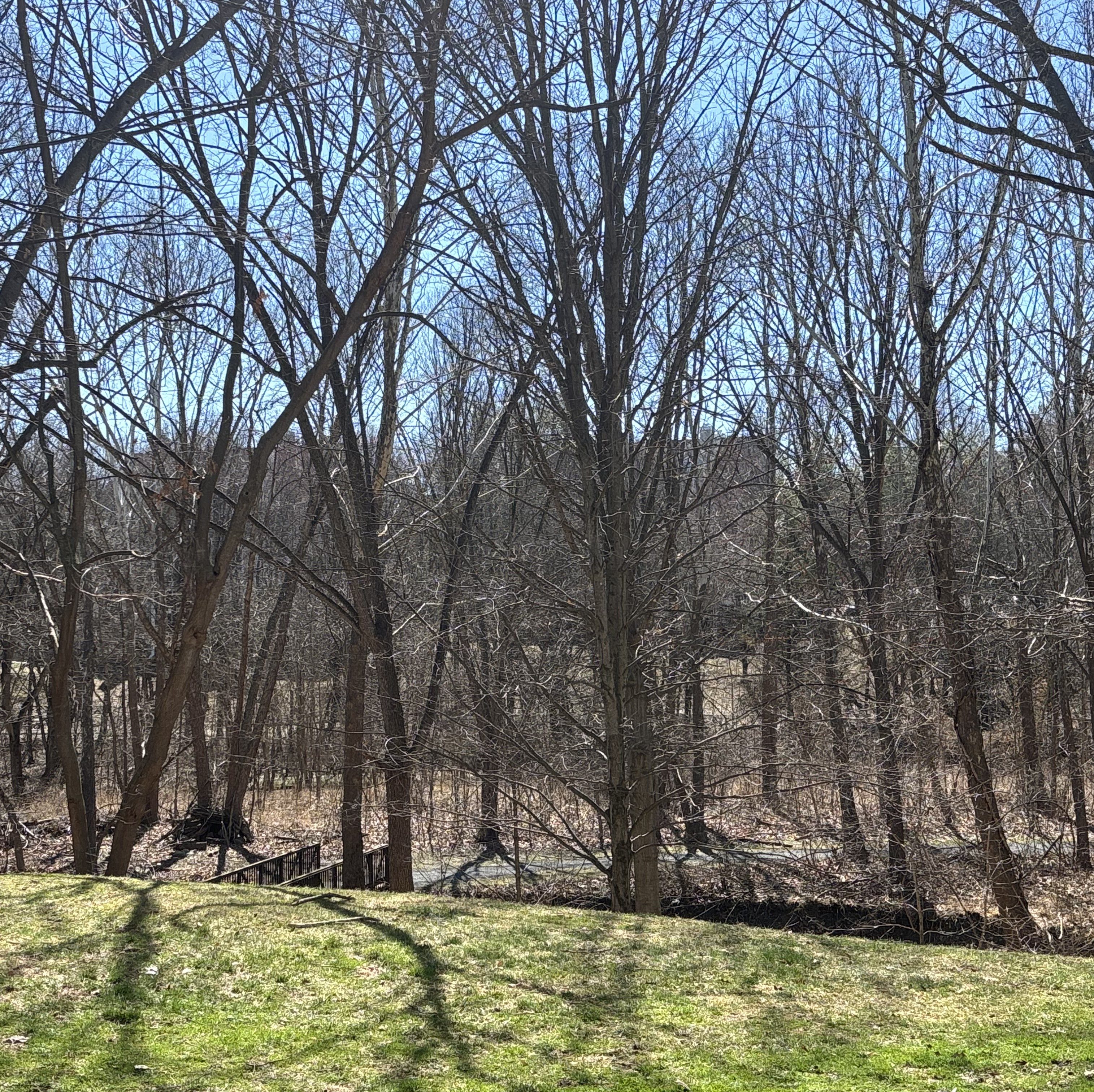 A Lenten Reflection on Gratitude, Healing, and Living in the Moment